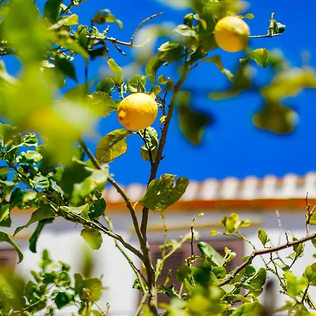 Aparthotel Sanvitotour- Il Baglio San Vito Lo Capo